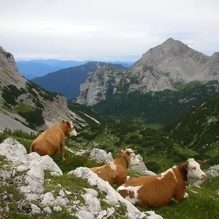 Alpotel Dolomiten Hotel 3*