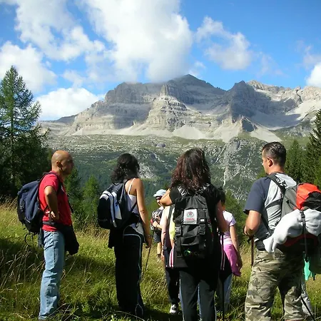 Hotel Alpotel Dolomiten 3*